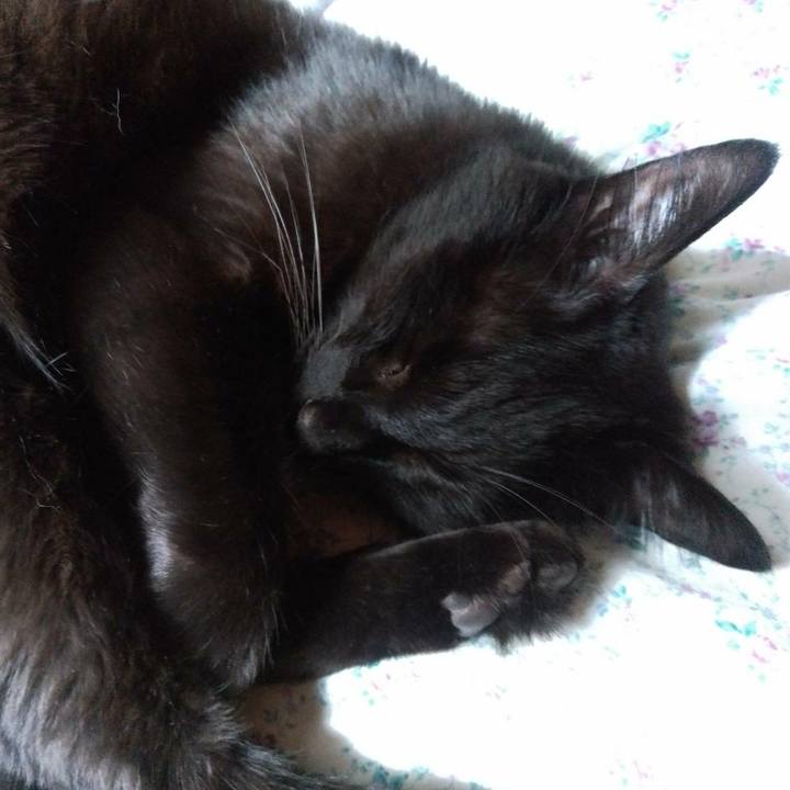 Fb857495 bf52 4e6b ad92 aa0a0e1ba586 1602216769914