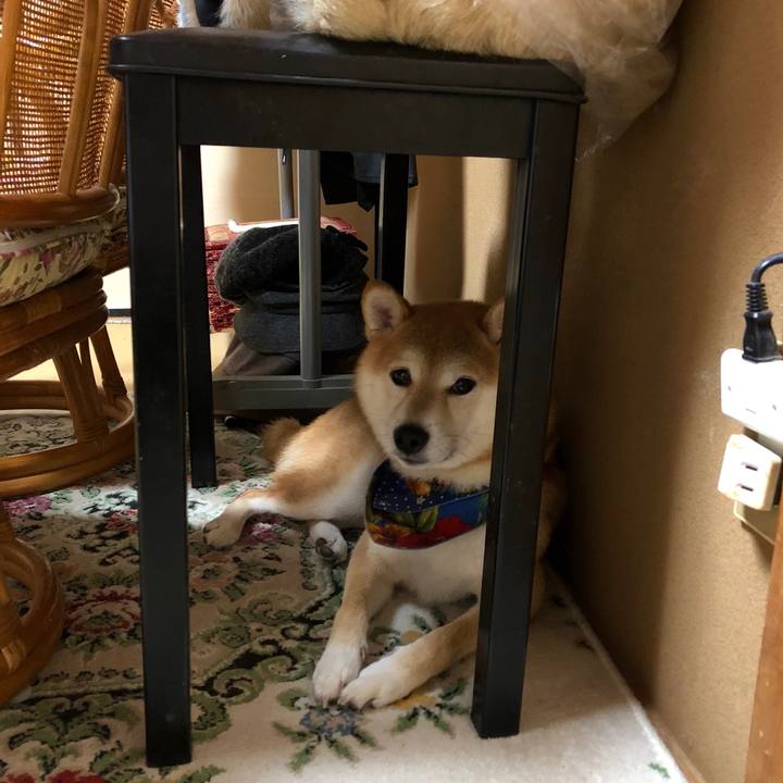 Fb8575cc 5960 4478 bb28 c7cc8ad86150 1537701054487