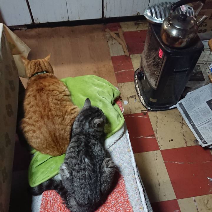 Fb858209 2182 42d7 ad23 864f4796cd51 1582063125801