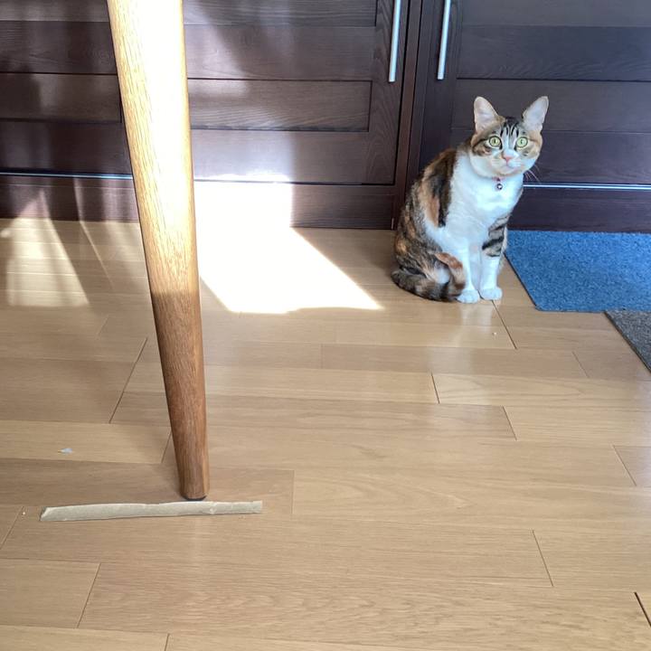 Fb85bbb6 aa32 4315 bb8e 869fb89093be 1740033987365