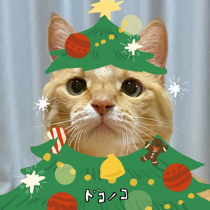 Fb85fbdc 31df 4291 98f0 e769abf93f7e 1762832436826