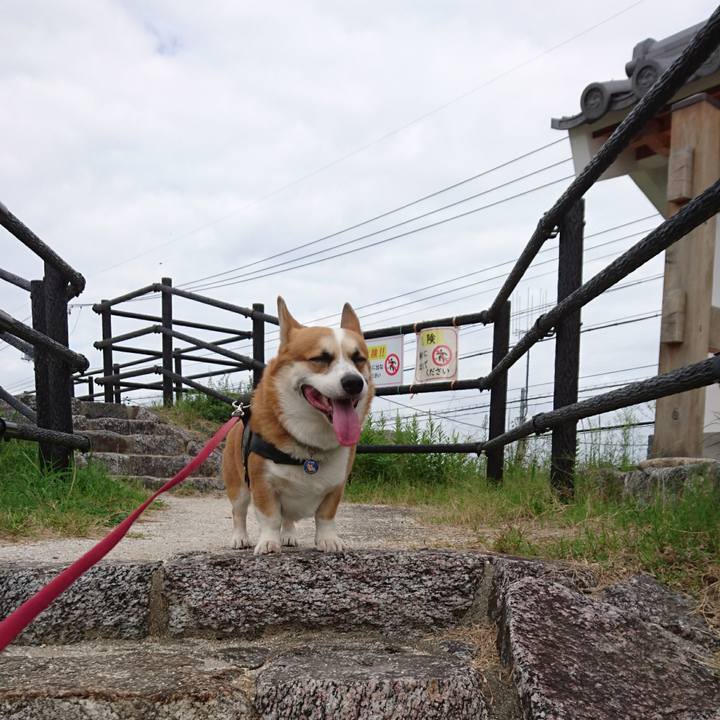 Fb861e80 359e 4b72 9eb2 0106e2e80c45 1634645709887