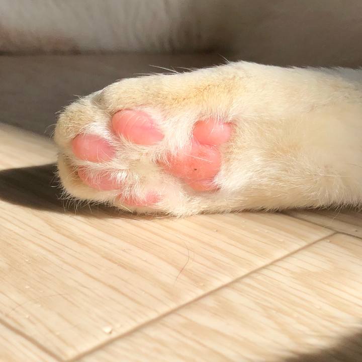 Fb864e95 fada 4d40 a181 f7fe53c70a7c 1621895472619