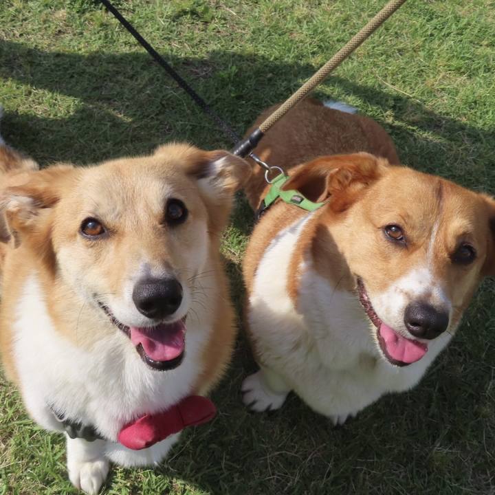 Fb865e2b 041f 4982 b843 82e8a641e28f 1716777149702