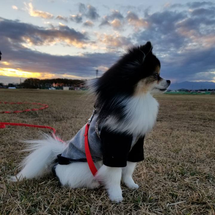 Fb867d02 3fb9 4137 a174 f4b88bf6c629 1544878130056