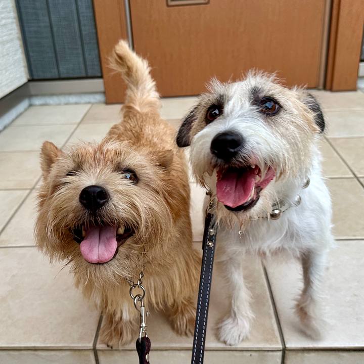 Fb868f60 5009 4811 8e09 d0755bf843a8 1755358078205