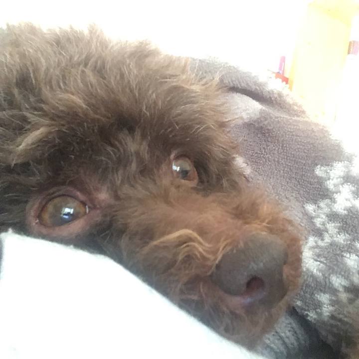 Fb869f72 1413 4701 9793 08a451c82c77 1573900711248