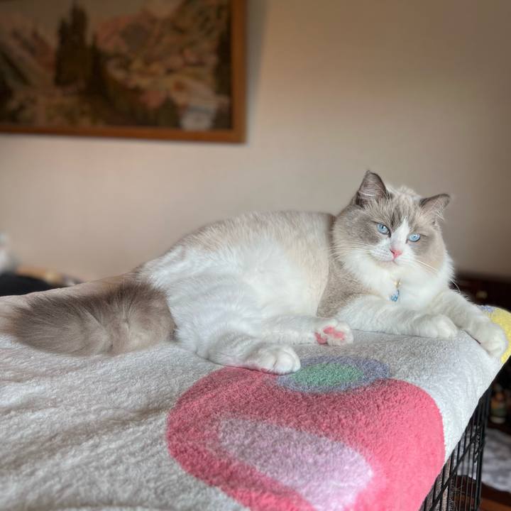 Fb86d1ff 7c5c 4a54 9f81 d9e60dd735ec 1660548302736