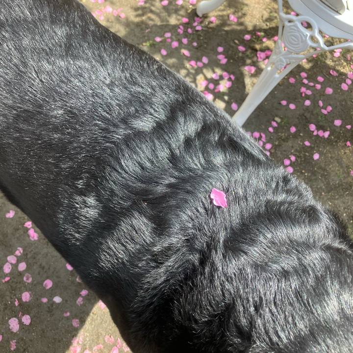 Fb86df81 5ad3 4bb6 87e8 351199ced142 1743912679123