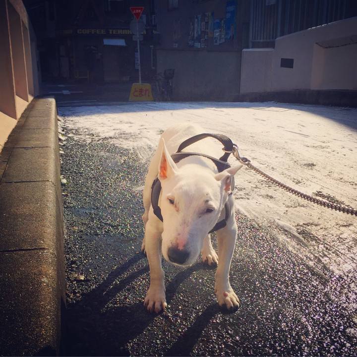 Fb86e118 d47c 464d 8f68 85d7aa34e5e8 1518398568732