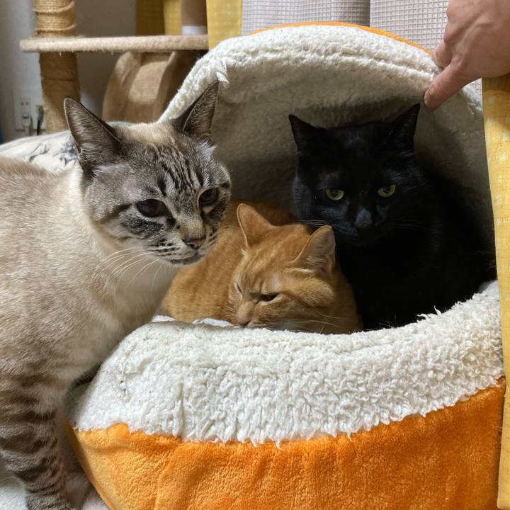 Fb86ee19 b853 498d 8066 cc0fb31b73ef 1774825724906