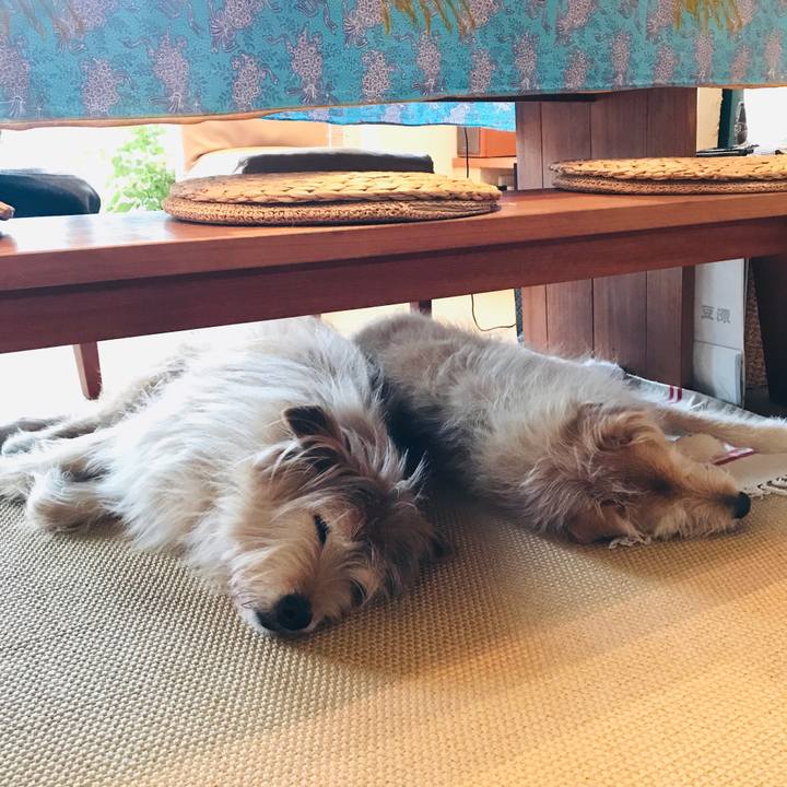 Fb871fbd d5cf 4e5f 913c 9fe281914985 1583118864326