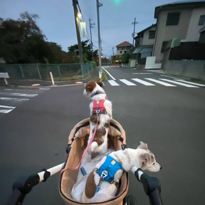 Fb87201a 3979 4f7b ac52 991c15239613 1731624689706