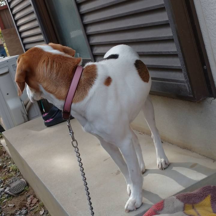 Fb873a70 3c06 44f2 b2f2 a7cacd56263e 1580014385826