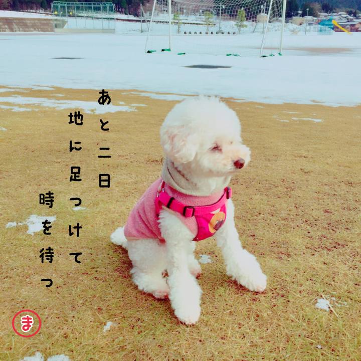 Fb874b68 ac08 4851 9572 3fd0c1943ee1 1514619462340