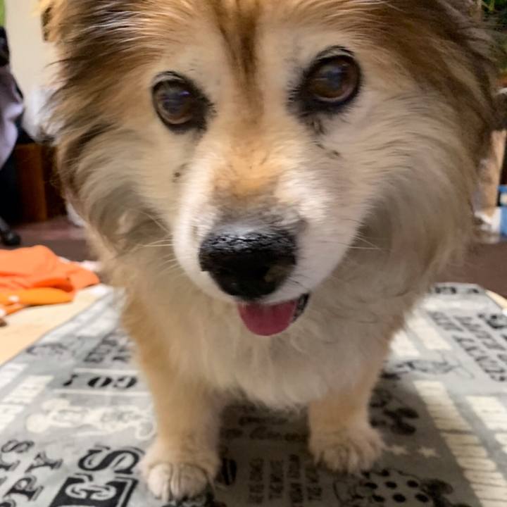 Fb875b5a 4eb5 4efa a364 f4c5a4c1948c 1555925933875