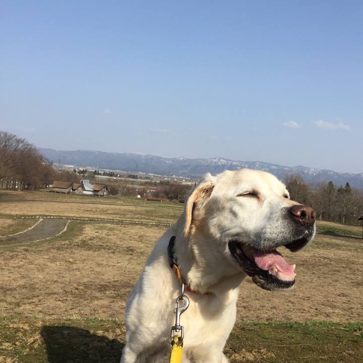 Fb876331 8813 4f74 b0ec 357f3b0159cf 1522740902475