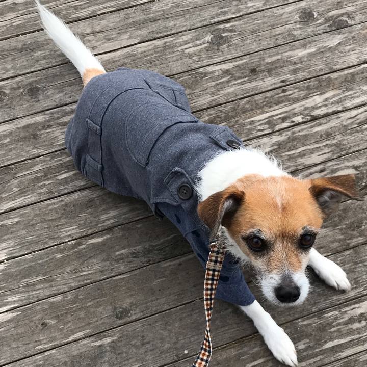 Fb877de2 7c2e 47ac acaa e7f422f21168 1551237560842