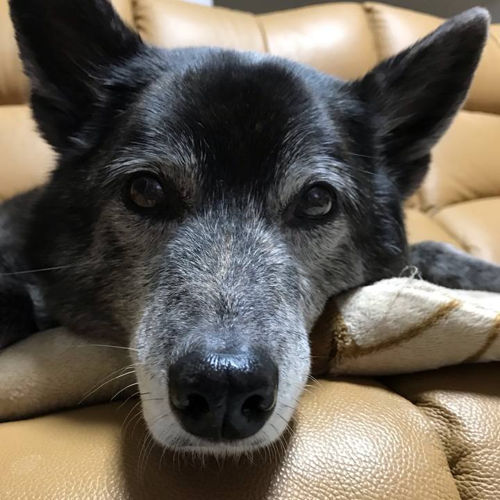 Fb87b89d 6890 436e 8e0f e6976125f1d7 1657278656773