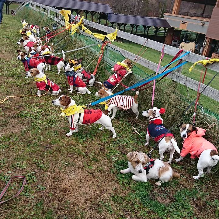 Fb87ba40 096b 4125 a84e 67ab459a380f 1541905128497