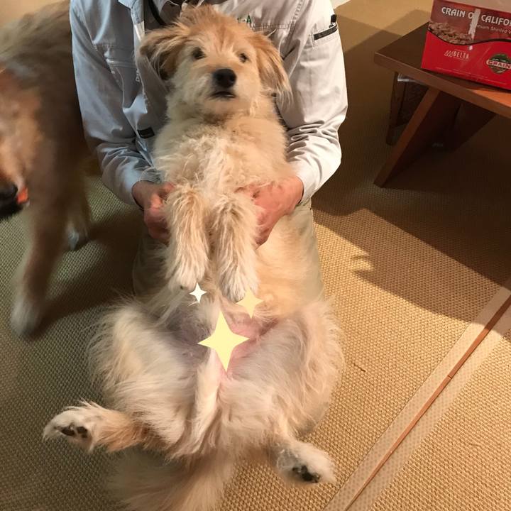 Fb87c269 468c 43d2 b455 6e87854d7ba9 1529254441684