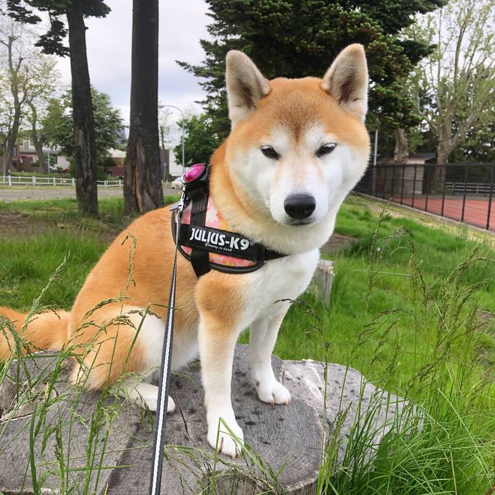 Fb87eafc 3c8c 4f86 a9f9 bd347db98b12 1590676132013