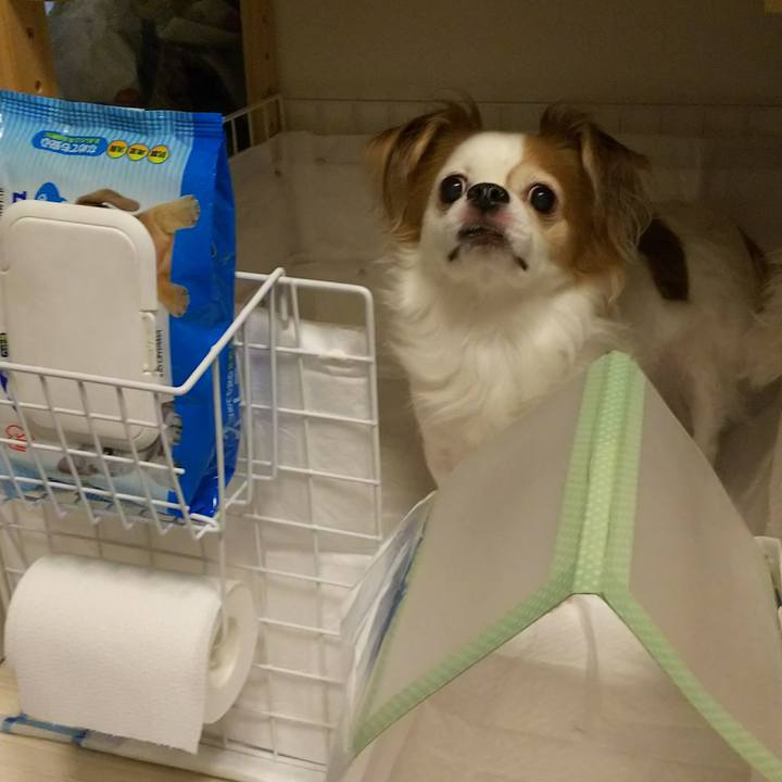 Fb87f1c8 b25c 4e54 9e6e 17926179f7da 1523442735760