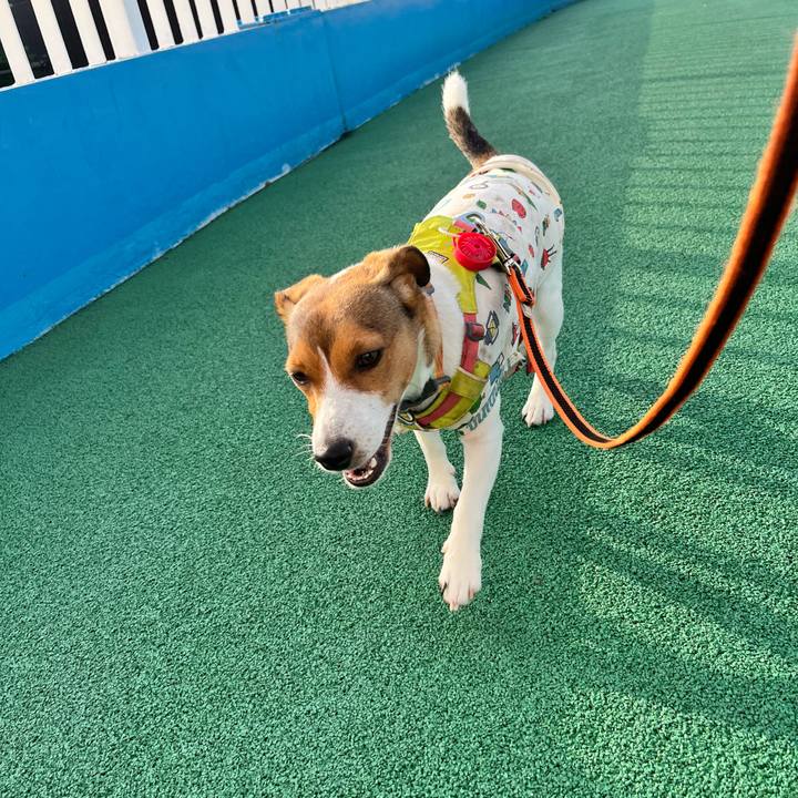 Fb87f9c0 fbe6 4415 967d 4e5d9330fa09 1719925192042