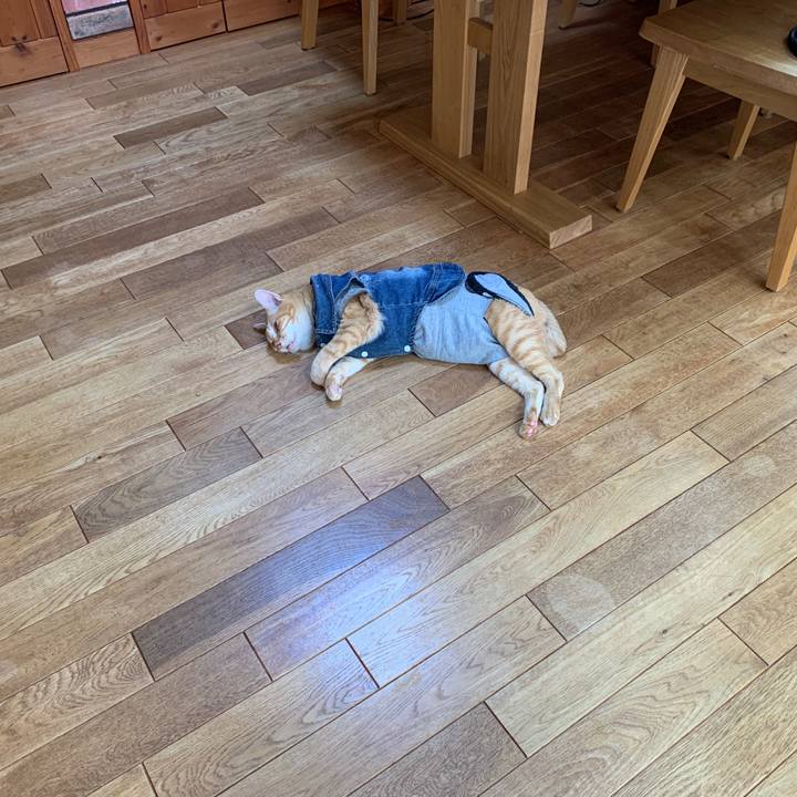 Fb88089b fa36 45f8 b4aa fc7f6b24b2cc 1660185609929