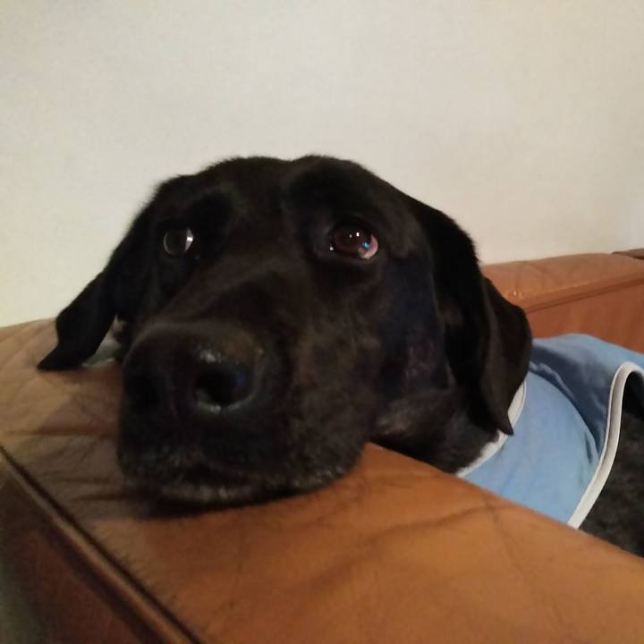 Fb881248 b110 47b0 aba7 197a4a13cd42 1582979961485