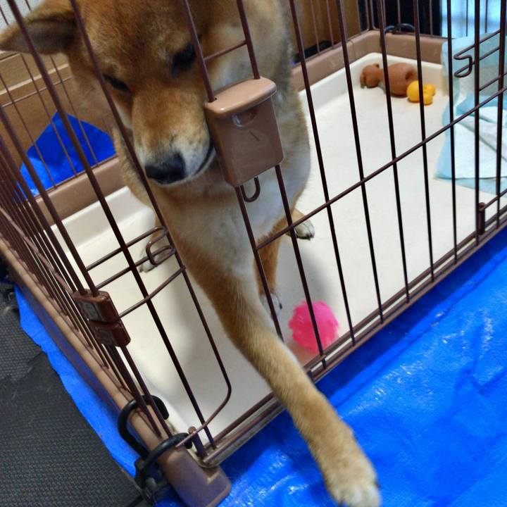 Fb881b49 cdc3 4333 89c4 438526334788 1524389143958