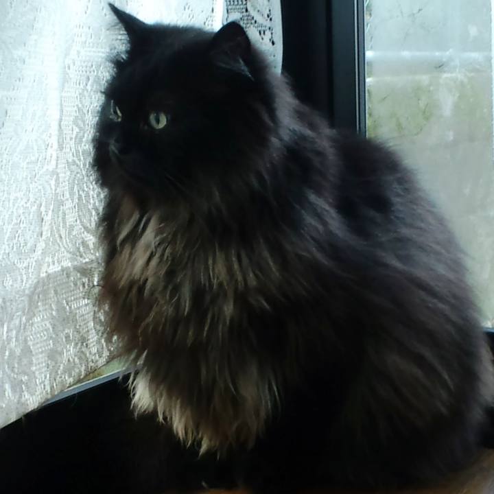 Fb8845f4 83e5 4719 9efc daa5a9c5e173 1650086569772