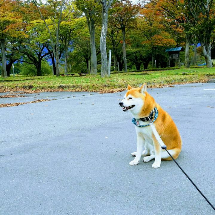 Fb8859e0 b75a 4988 a8e5 41d66ae84aad 1508480689363