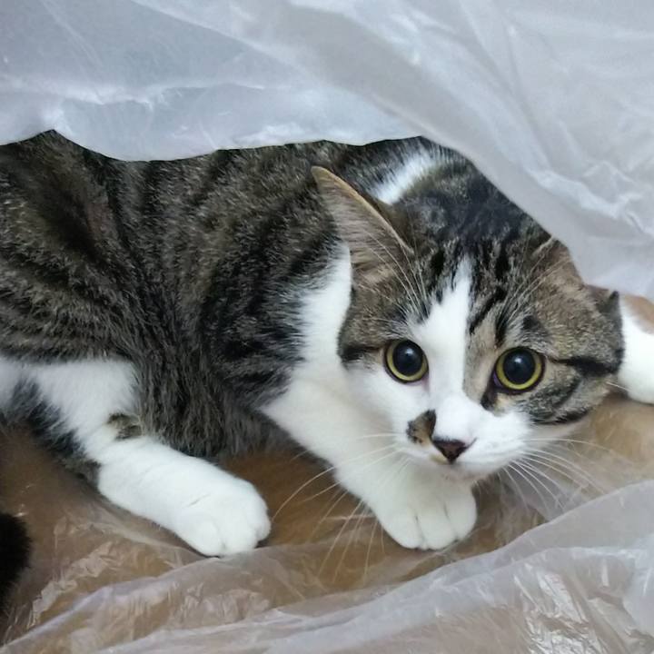 Fb88a525 2098 4449 a0fa 518046bcfd0c 1621515646935