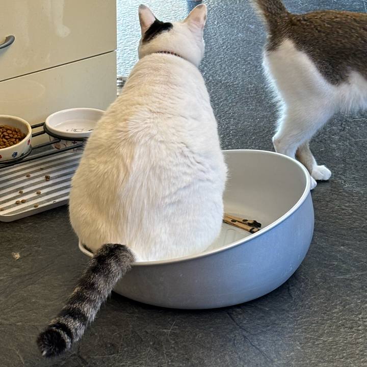 Fb88be6b 3a12 498a a6a9 16f8a83a2cd4 1760439640444