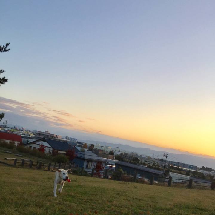 Fb88ca52 ada3 48d8 bf39 f842bf6152fb 1511011039937