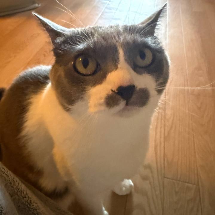 Fb88d25c 628f 42c7 b50c e0fa8ee7e8da 1771888870447