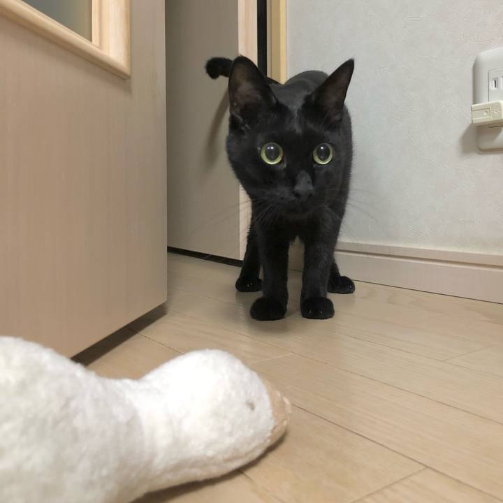 Fb88d7e3 203f 41d3 a70f bee121ab013b 1626185784918