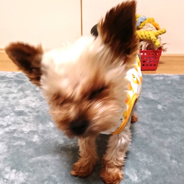 Fb88dd6f 48a1 4acb b53e 566ac4e961a6 1520001068643