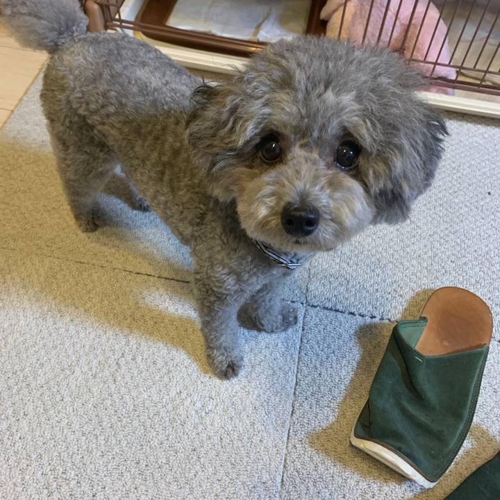 Fb88e308 7c0a 4c29 8376 974541c3a5b6 1602503495105