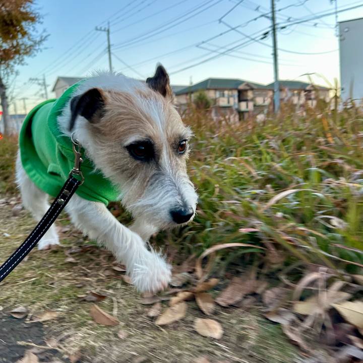 Fb8912ff 7e4c 4c08 aa97 54c4c22ced43 1733904532661