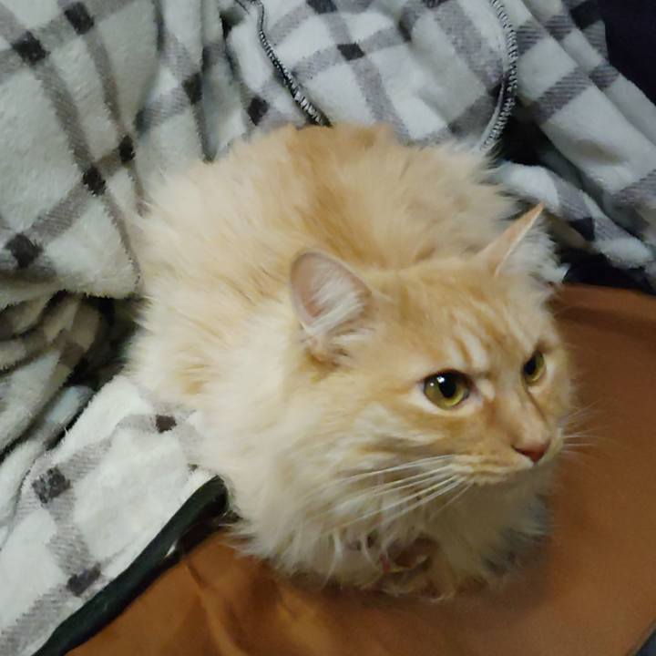 Fb892077 8977 4967 936f 3b82e537903f 1707834764014