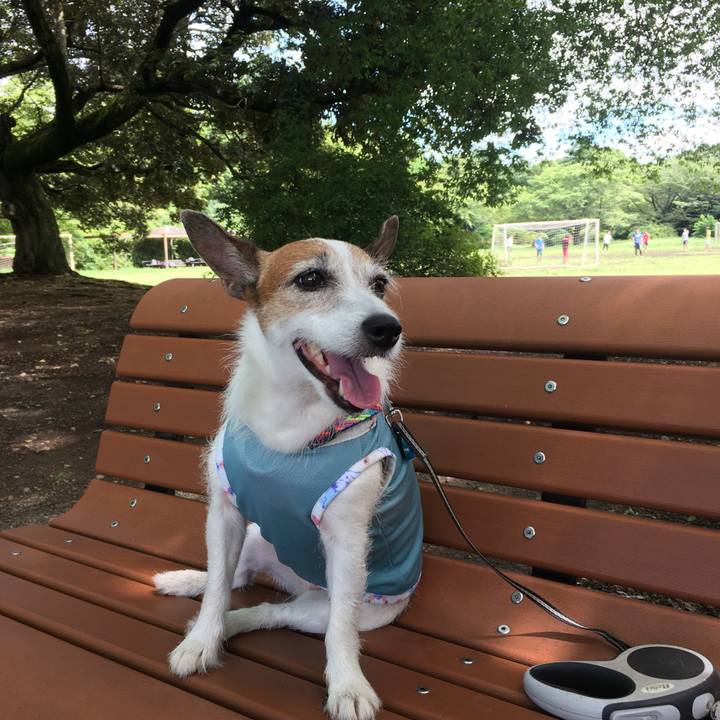 Fb894306 c211 4d54 9012 90010776abd1 1660519392156