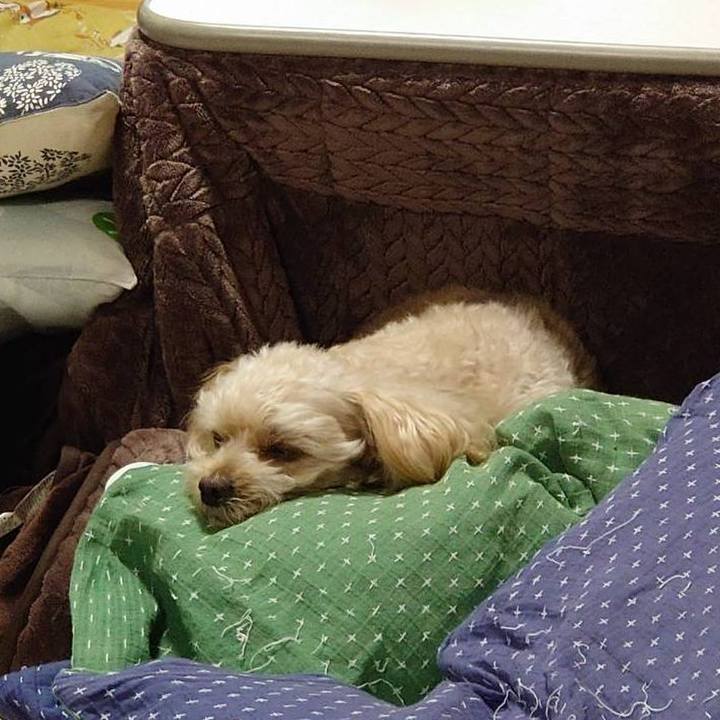 Fb89992d c5fe 4f7f bba5 2964d6b35349 1635591583464