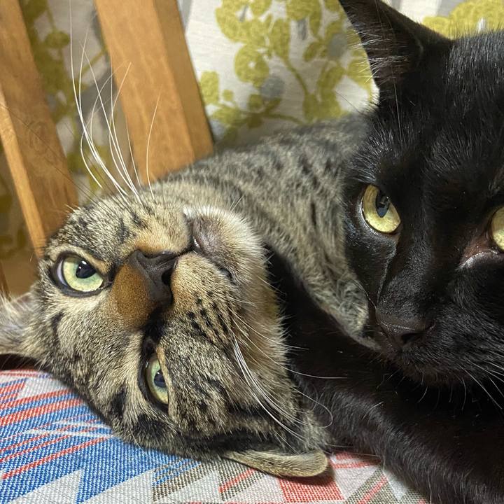 Fb89b63f defb 429b be1c 2aa7412eef01 1647342860570