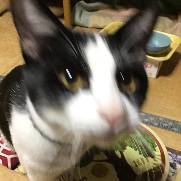 Fb89b913 4f41 42e1 9a80 584505457675 1639993155536