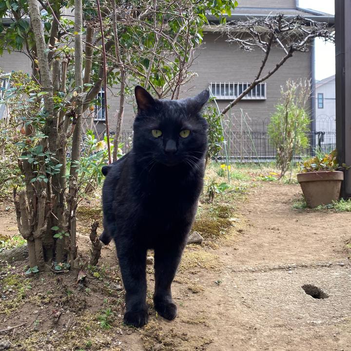 Fb89ba02 06f5 4a66 8416 756b1b23a6ec 1678704228599