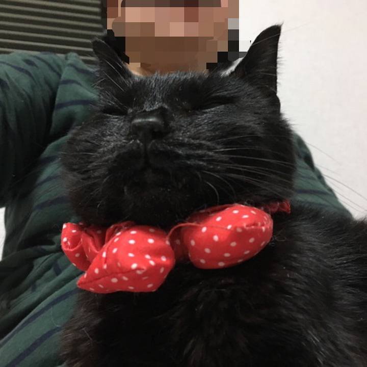 Fb89eb44 fab3 441d 94e5 1ef1cbcfecf1 1562975790957