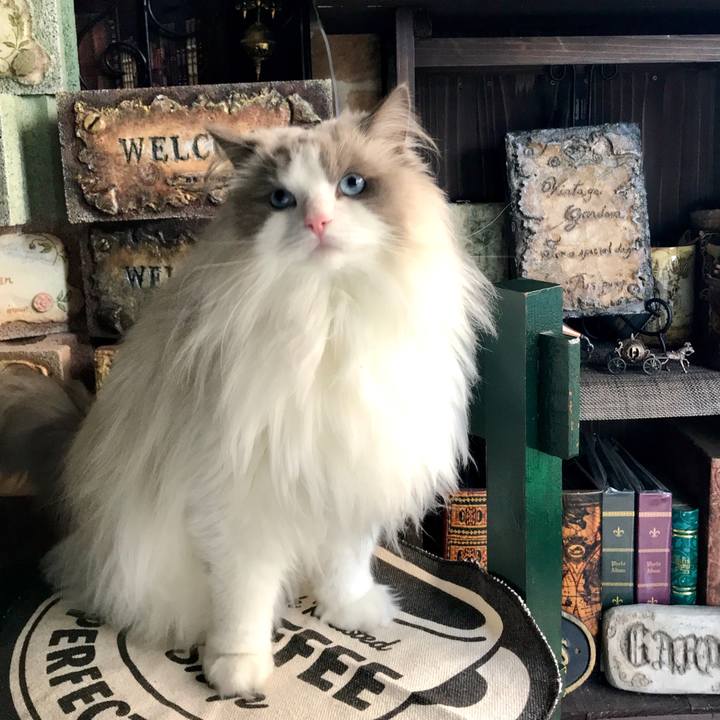 Fb89fd2f 6461 463b 9177 aef9aa33ecc2 1582316344252