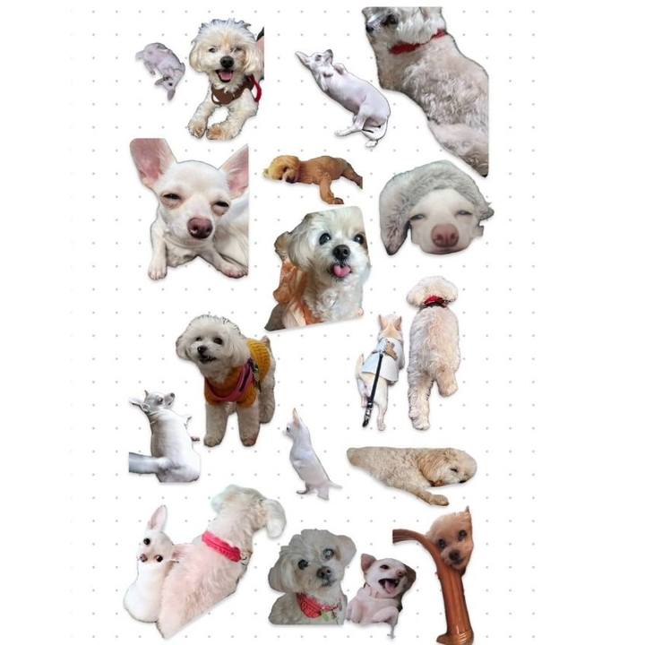 Fb8a195e 5790 41d1 92de 2cfa9c7f578c 1724580877264